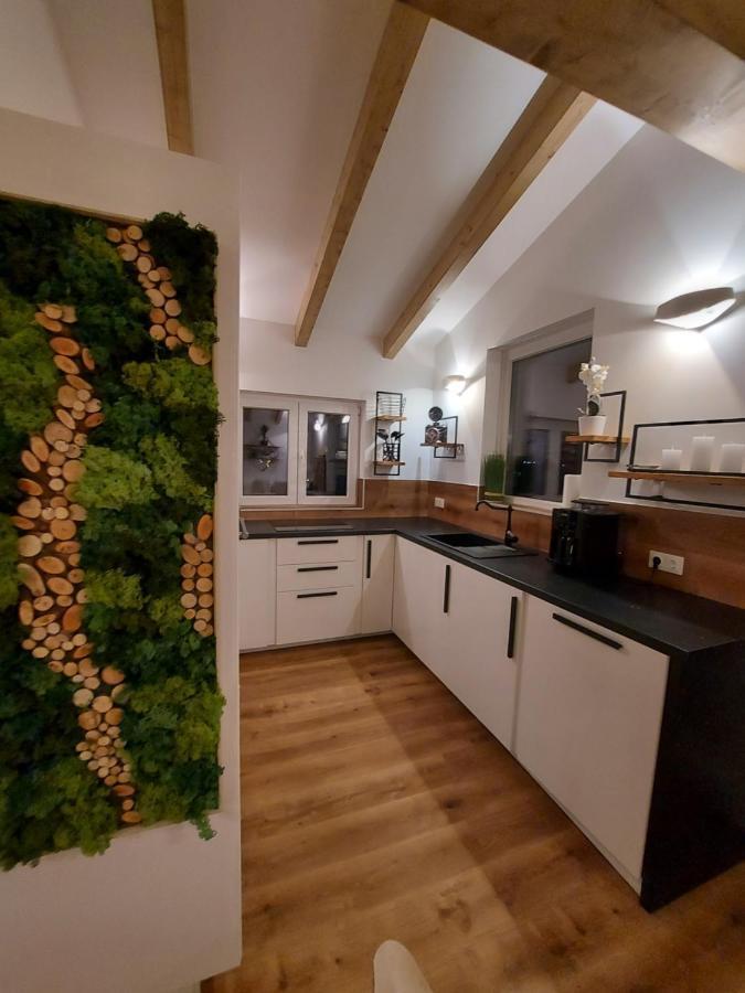 Auszeit Steiraland Penthouse 9 Mit Grossen Balkon Und Parkplatz Διαμέρισμα Λεόμπεν Εξωτερικό φωτογραφία